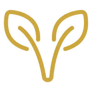 Design_sans_titre_25_c9df7d35-d981-447a-a551-94a3ca848b67 - Elunalabs