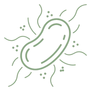 Design_sans_titre_60 - Elunalabs