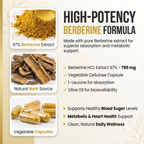 Berberine - Elunalabs
