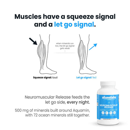 Neuromuscular Release